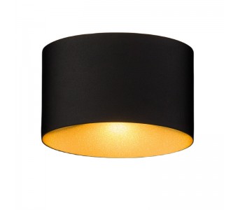 Sieninis lauko šviestuvas ELLIPSES LED BLACK/GOLD IP54